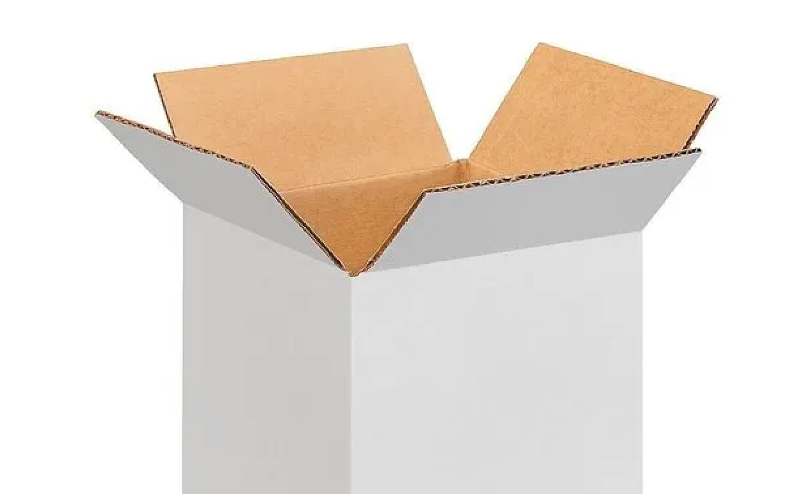 Corrugated Box 5-Ply
